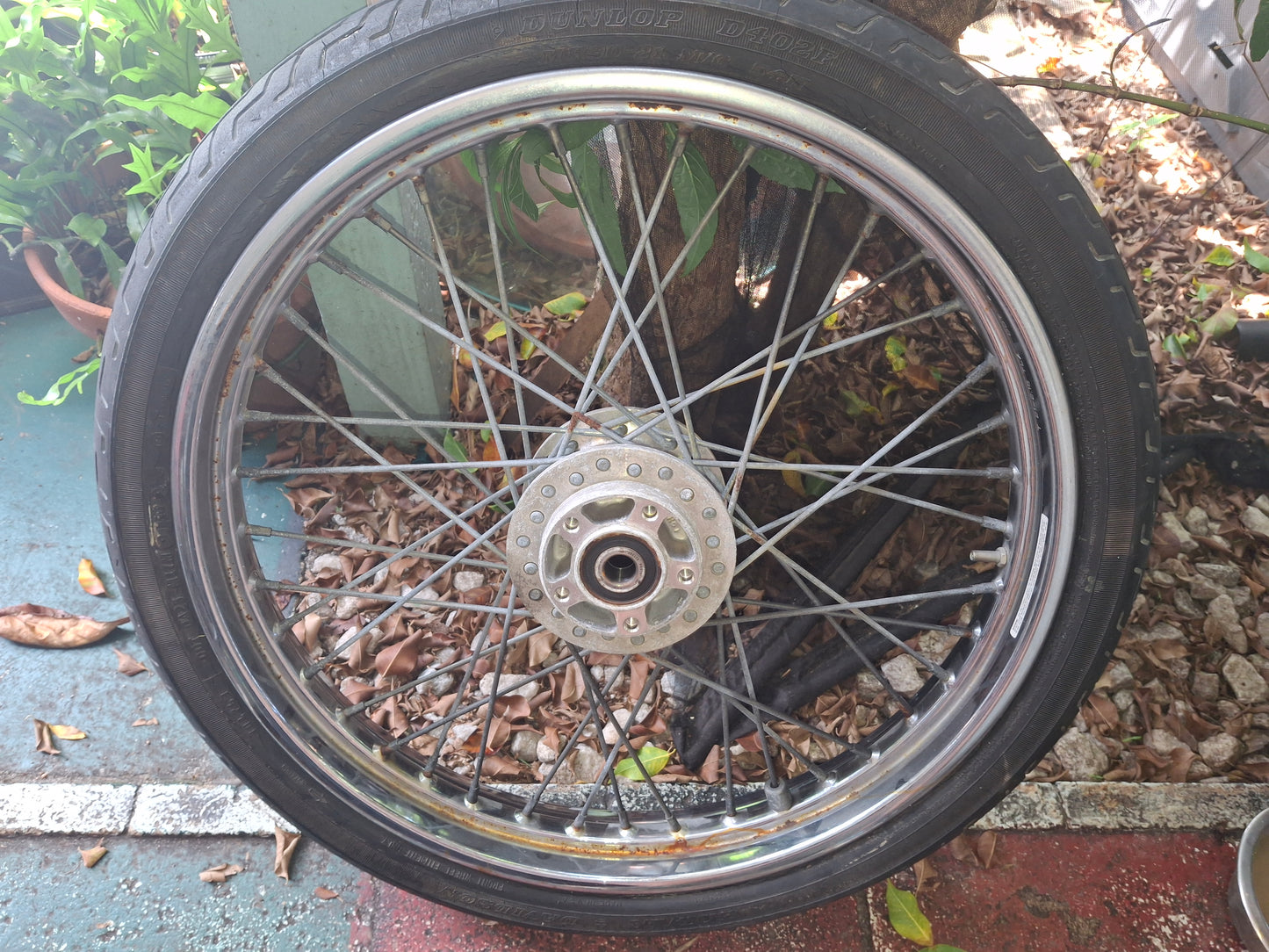 Harley-Davidson Sportster 21 inch Front Rim Wheel Spoke Sporty Harley Davidson