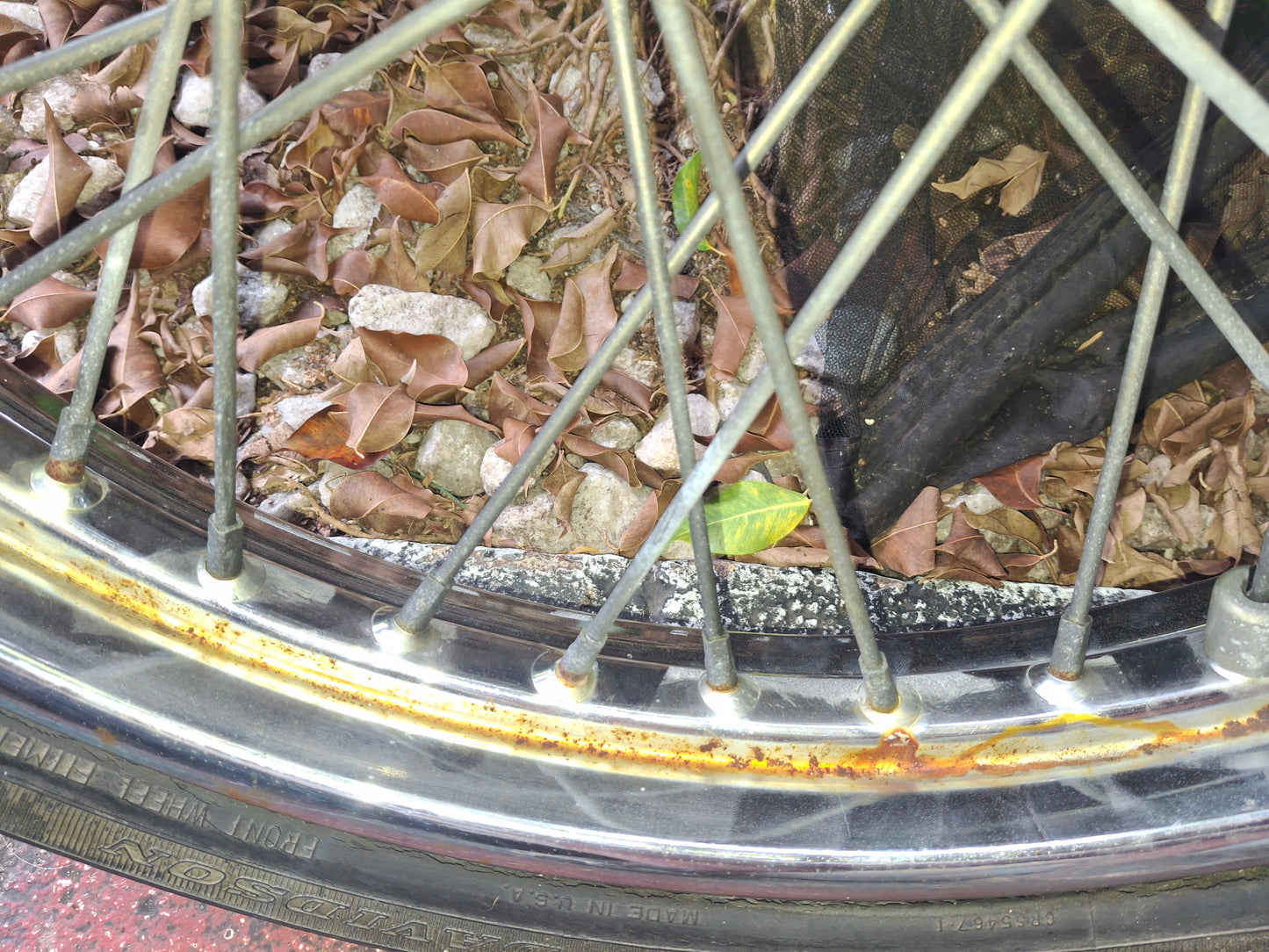 Harley-Davidson Sportster 21 inch Front Rim Wheel Spoke Sporty Harley Davidson