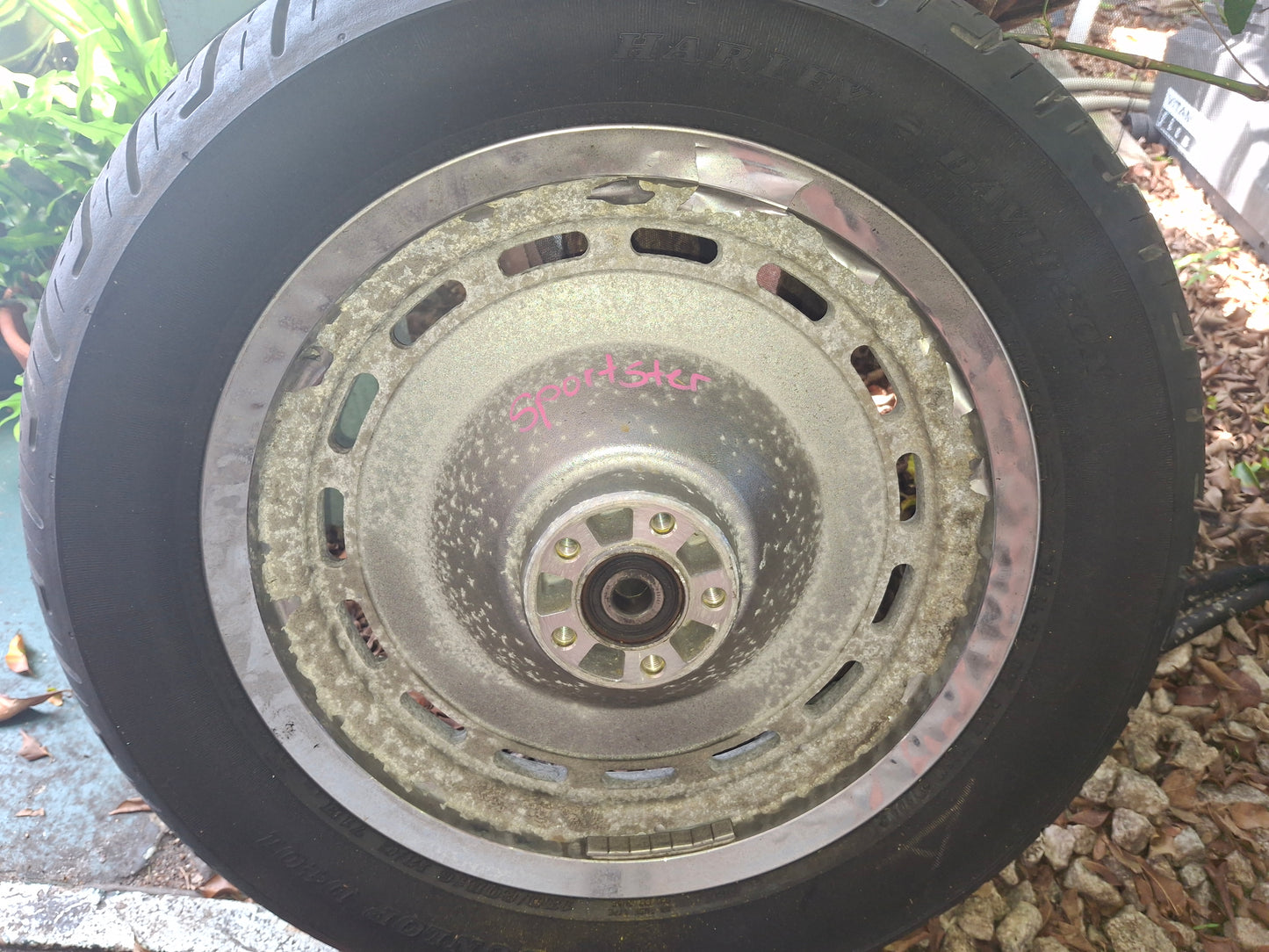Harley-Davidson Sportster Rear Wheel Rim 16 x 3 Sporty Harley Davidson