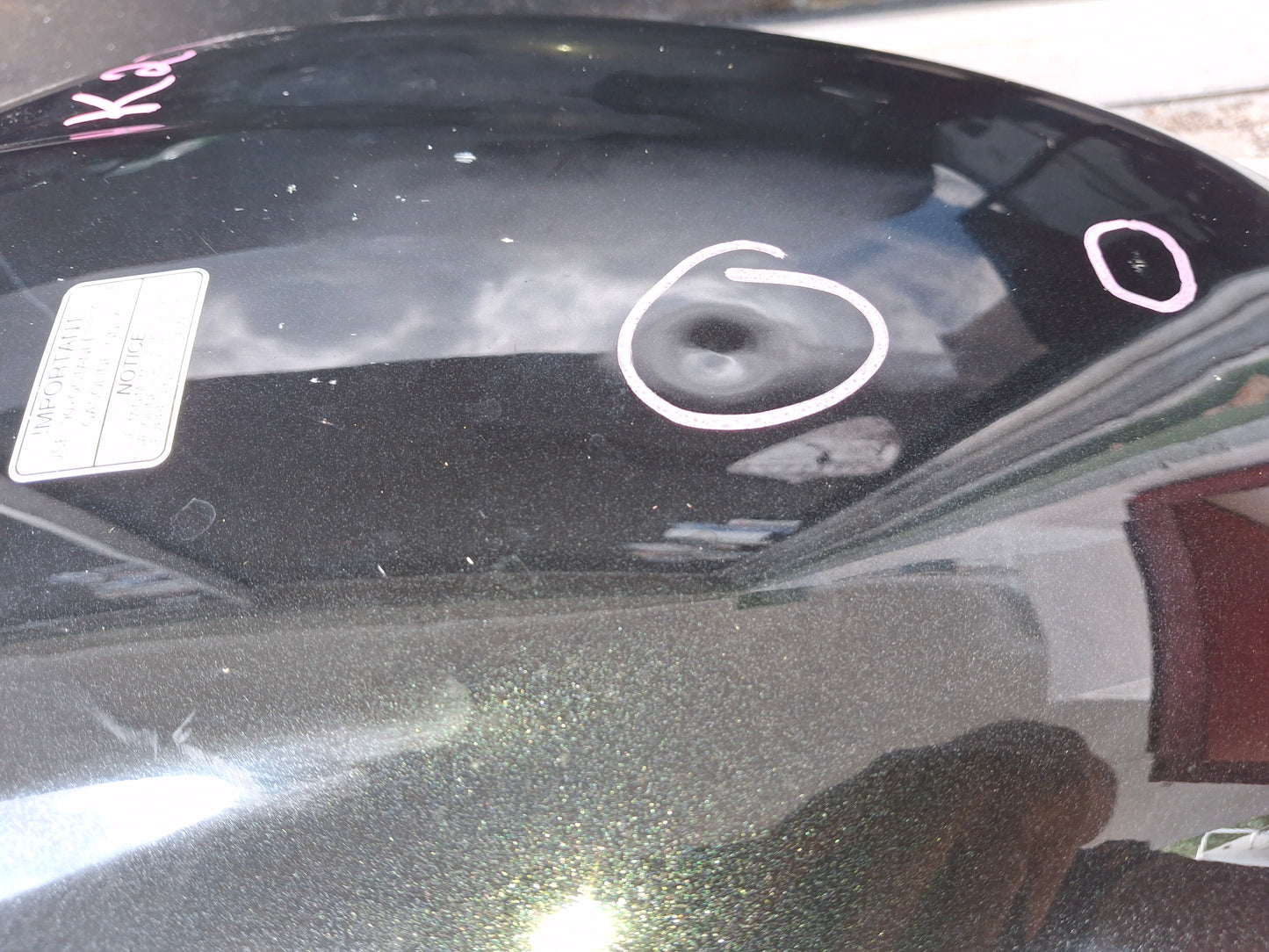 Kawasaki Z900RS Z900 Gas Tank Fuel Petrol Cell Z 900 RS - Beautiful
