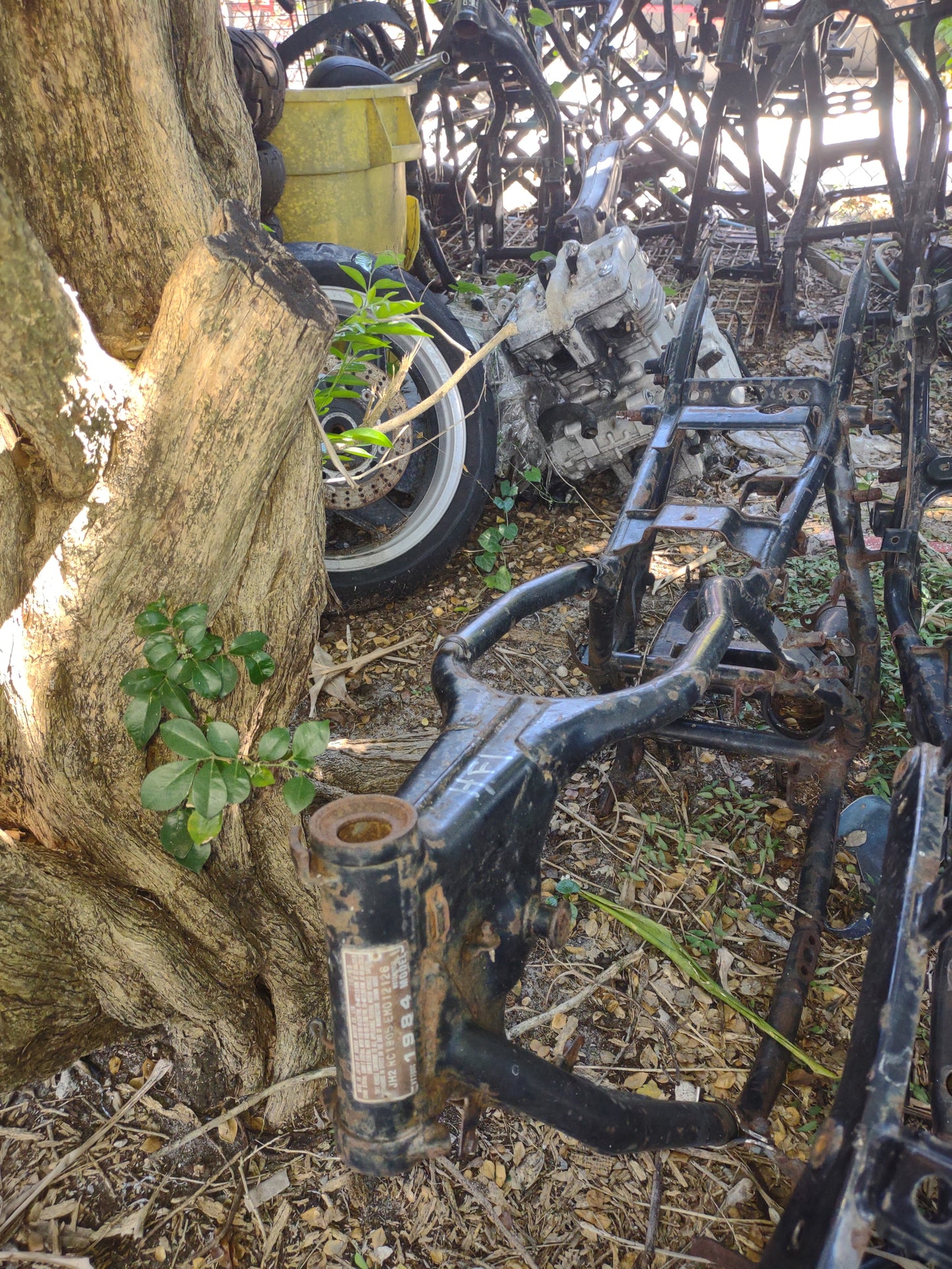 84 Honda Shadow 700 C VT700C Main Frame Chassis VT700 VT
