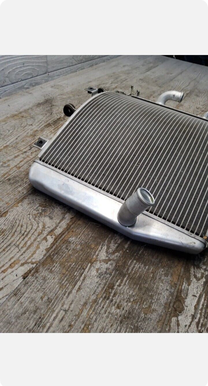 06-07 Kawasaki ZX10R ZX10 Engine Motor Radiator Cooler Cooling ZX-10 ZX-10R