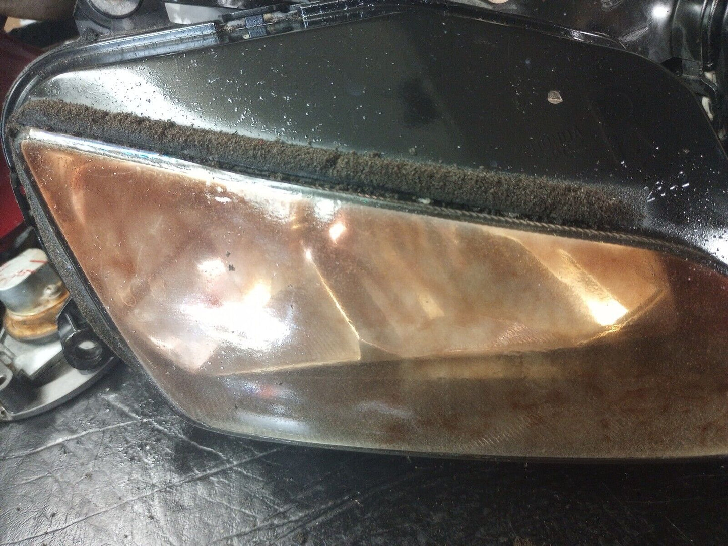 03 - 06 Honda CBR 600 RR CBR600RR Headlight Head Light Lamp Lighting 600RR