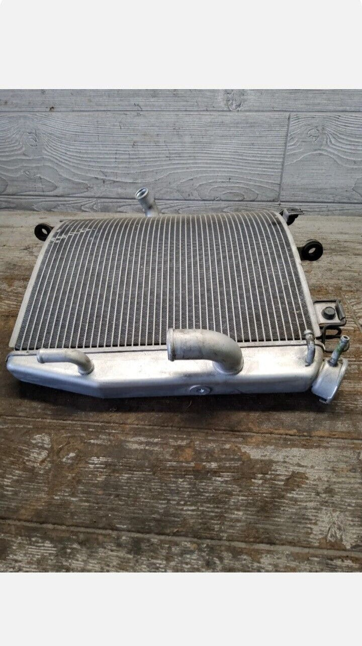 06-07 Kawasaki ZX10R ZX10 Engine Motor Radiator Cooler Cooling ZX-10 ZX-10R