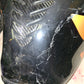 98 99 Honda CBR900RR CBR919RR Gas Tank Fuel Petrol Cell 919 900RR