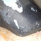 99-02 Yamaha YZF R6 Gas Tank Fuel Petrol Cell OEM