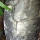 Harley-Davidson Sportster Rear Wheel Rim 16 x 3 Sporty Harley Davidson