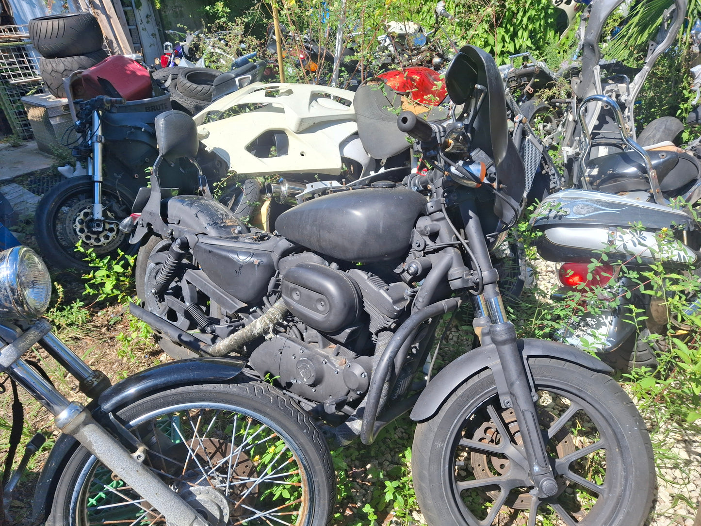 2011 Harley Davidson Sportster Super Low 883 Wheels Front Rim Rear Rim Rotor Rotors XL883L