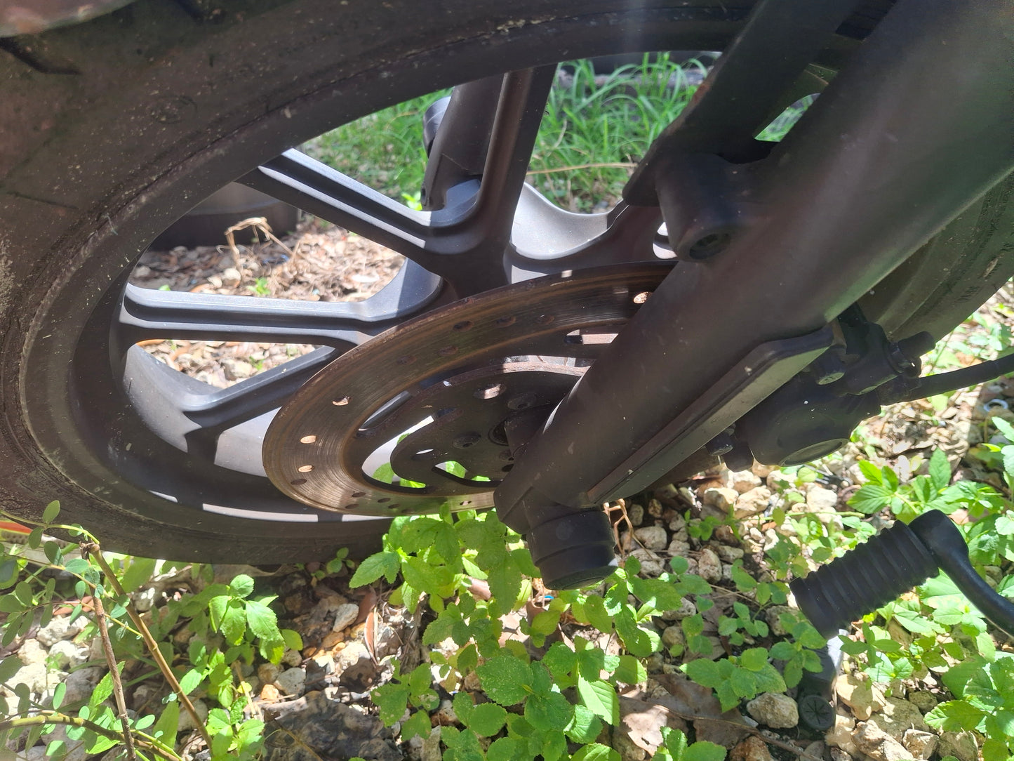 2011 Harley Davidson Sportster Super Low 883 Wheels Front Rim Rear Rim Rotor Rotors XL883L