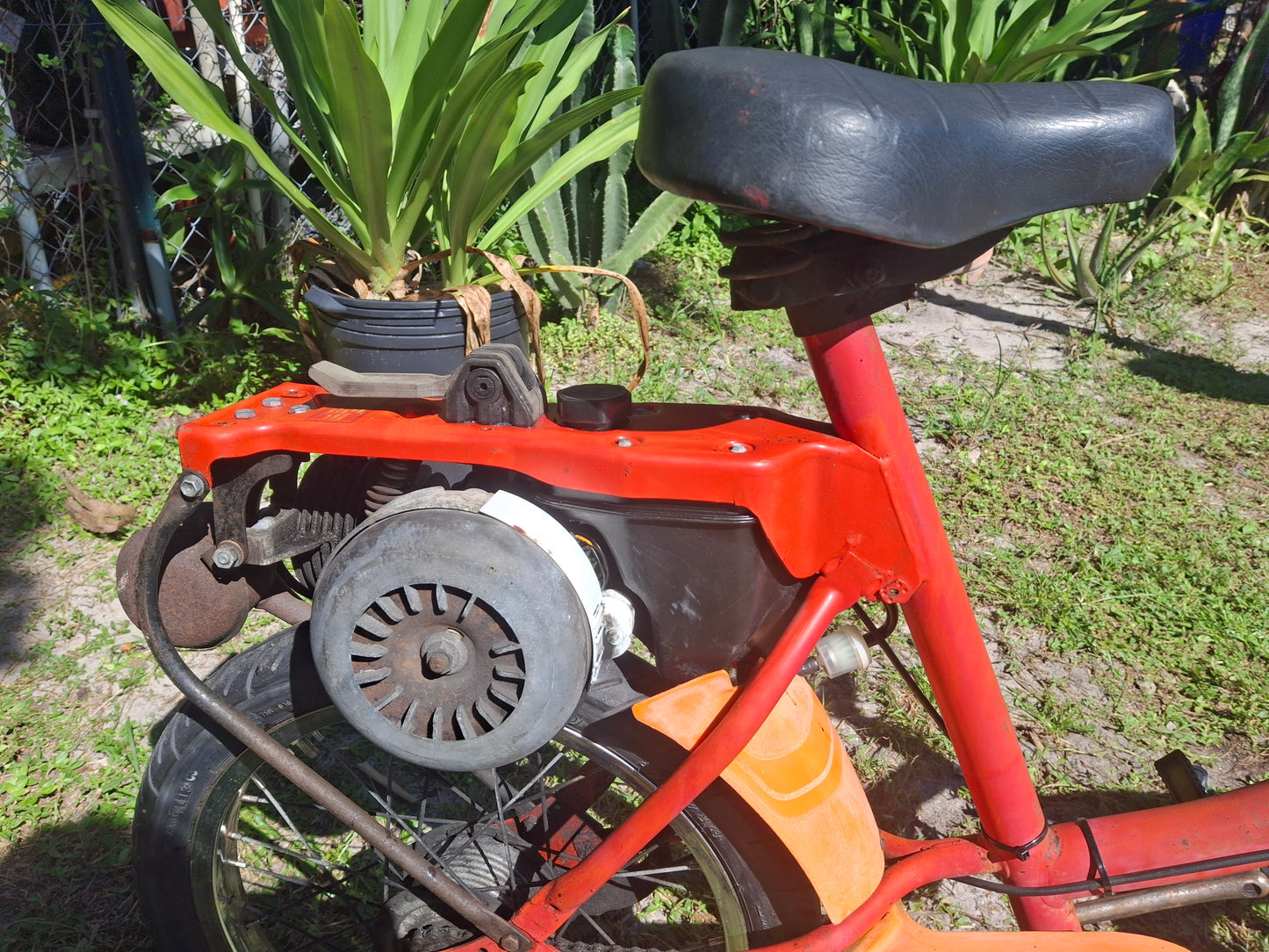 AMF Roadmaster (Harley Davidson) Motorized Bicycle Moped