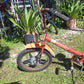 AMF Roadmaster (Harley Davidson) Motorized Bicycle Moped