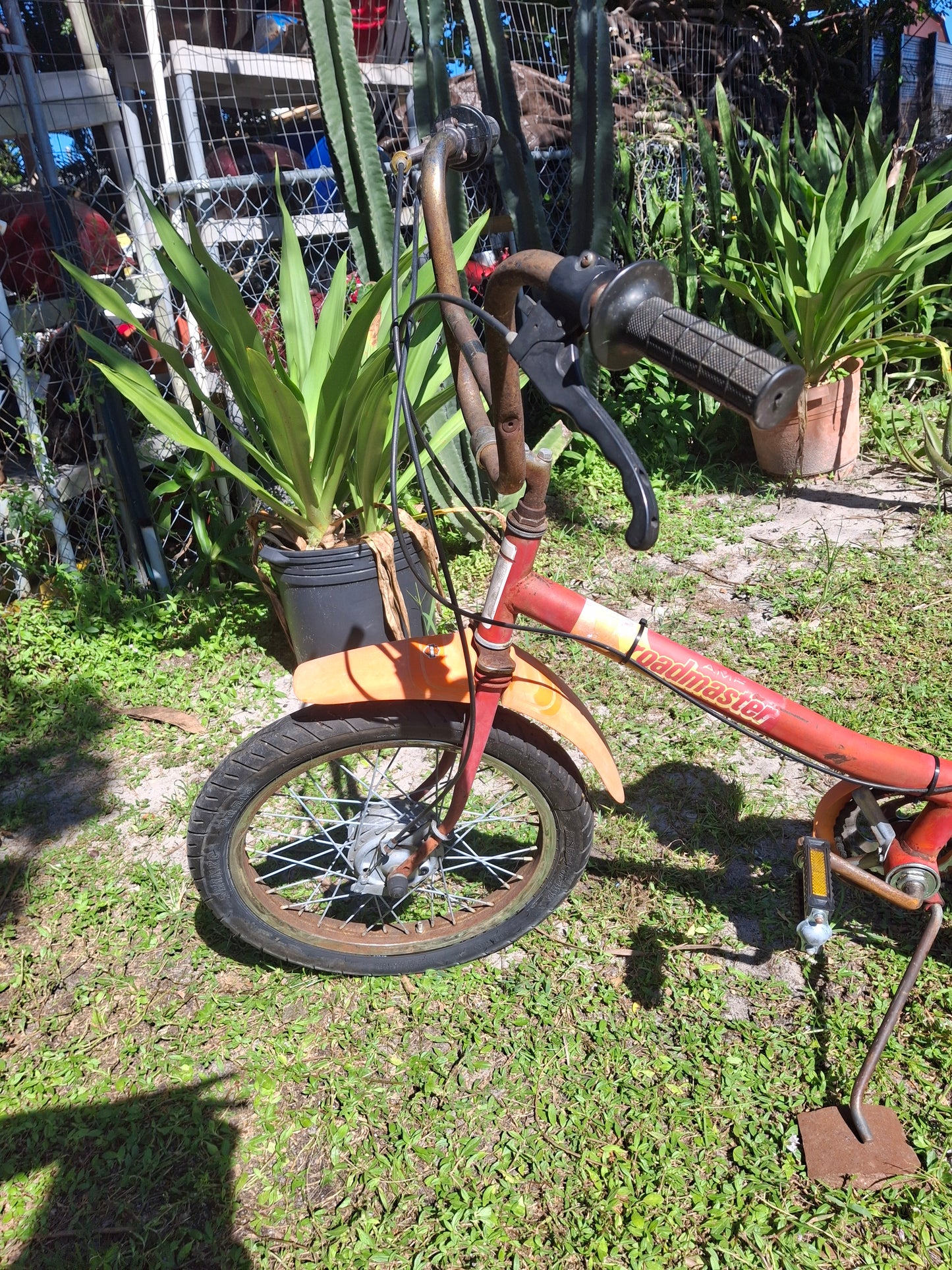 AMF Roadmaster (Harley Davidson) Motorized Bicycle Moped