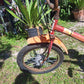 AMF Roadmaster (Harley Davidson) Motorized Bicycle Moped