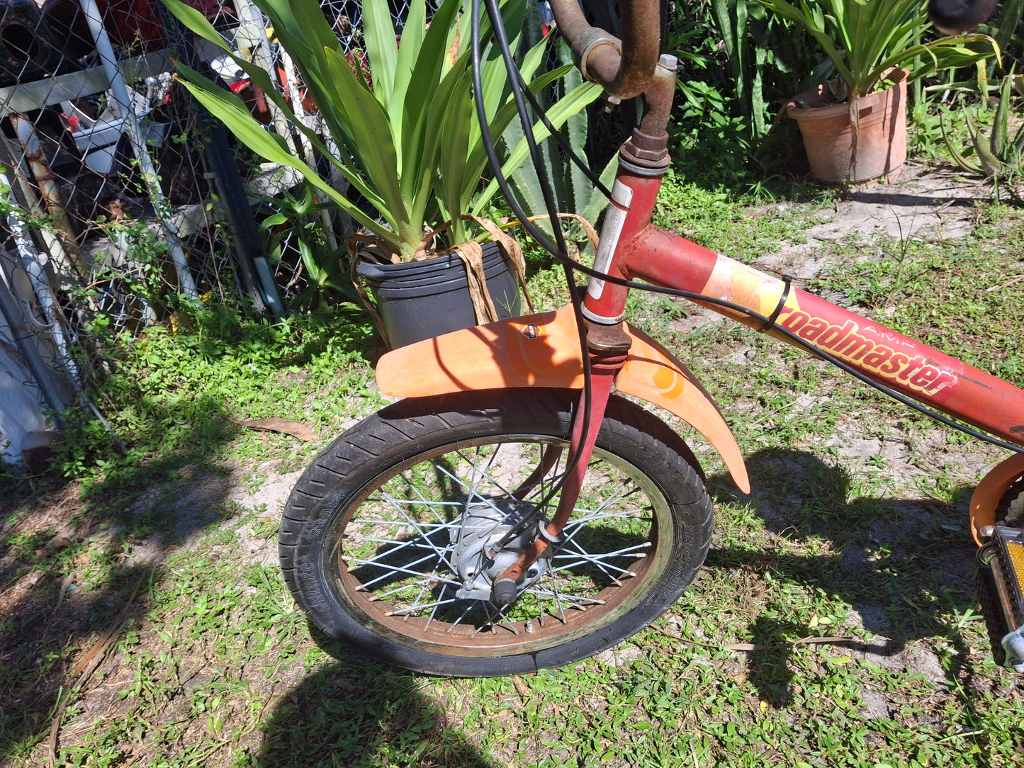 AMF Roadmaster (Harley Davidson) Motorized Bicycle Moped