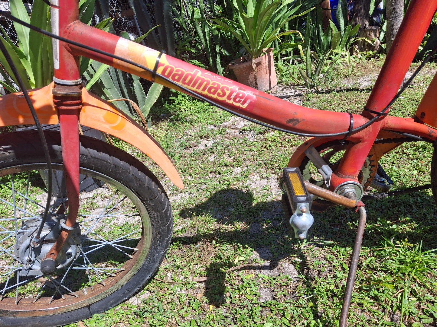 AMF Roadmaster (Harley Davidson) Motorized Bicycle Moped