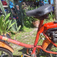 AMF Roadmaster (Harley Davidson) Motorized Bicycle Moped