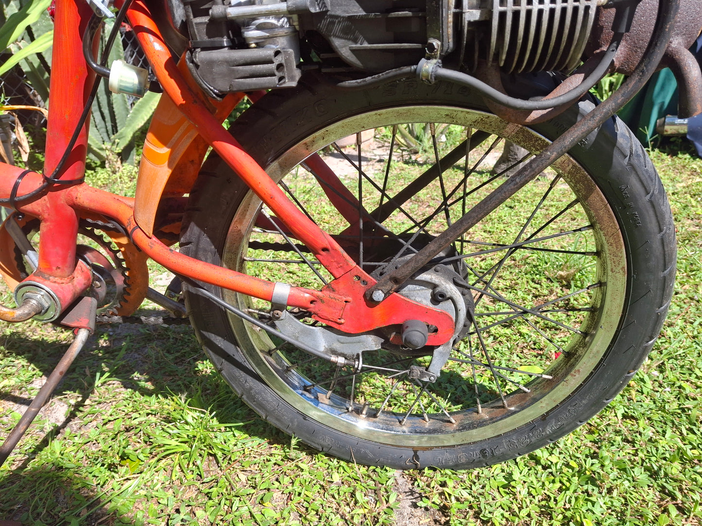 AMF Roadmaster (Harley Davidson) Motorized Bicycle Moped