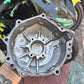 06 Kawasaki ZX-10 Stator Cover ZX10 engine cover
