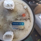 2011 Honda CBR600RR Fuel Pump 600RR Gas Petrol Sending Unit 16700-MFJ-D01-M1 CBR