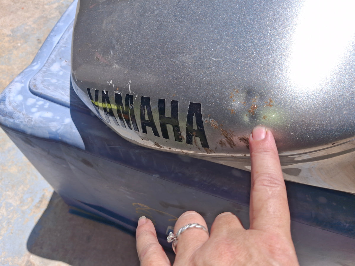 01-05 Yamaha FZ1 Gas Tank Fuel Petrol Cell