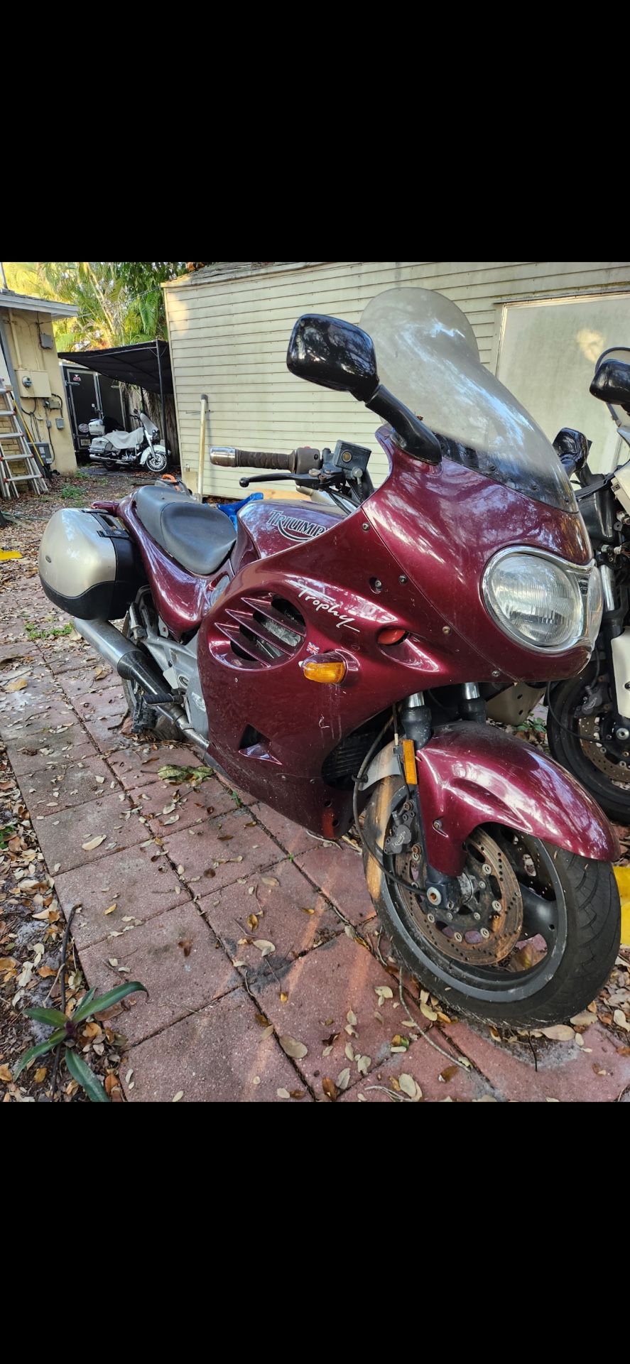 Mechanics Special - 2 Triumph Trophy 900 available - Clean Titles - Been Sitting