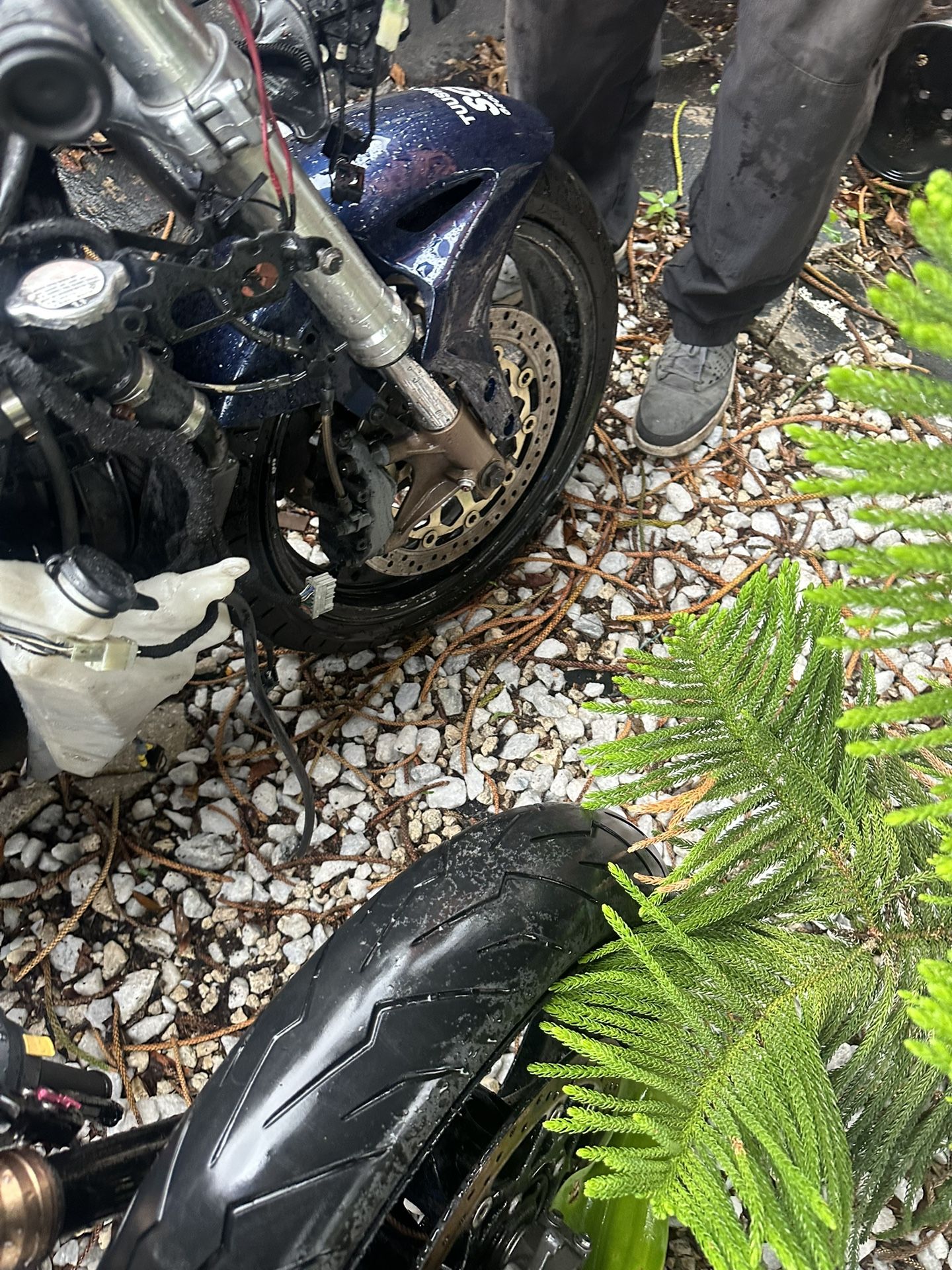 05 Honda CBR1000RR CBR1000 Not Running , Mechanic Special, Clean Title