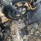 Buell Blast Parts For Sale - Parting Out Complete Bike - Please read