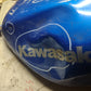 00 Kawasaki ZX-9 ZX9 Gas Tank Fuel Petrol Cell Ninja OEM Reservoir