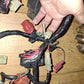 02 03 Honda CBR954RR 954RR Main Wiring Harness Wire Loom Read Free Ship CBR 954