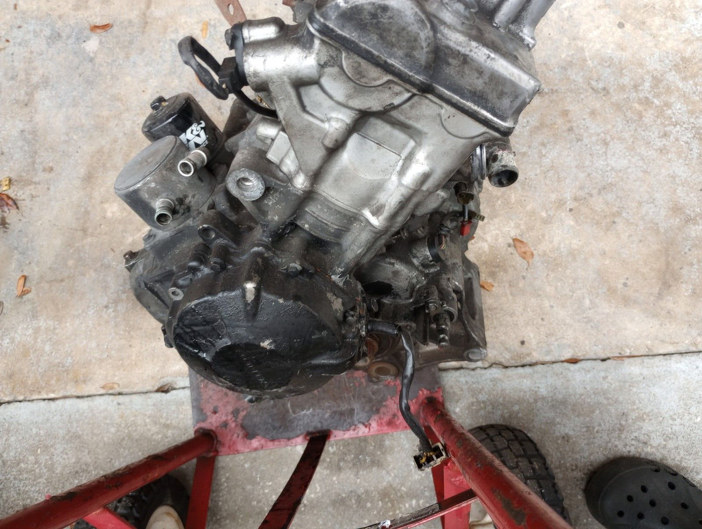 03 - 06 Honda CBR600RR 600RR CBR 600 RR Stator Engine Cover Left Side Engine Cover