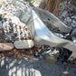 SOLD SOLD 03 - 04 Kawasaki 636 ZX-6 ZX6 Frame Chassis EZ Reg ZX6R ZX-6R
